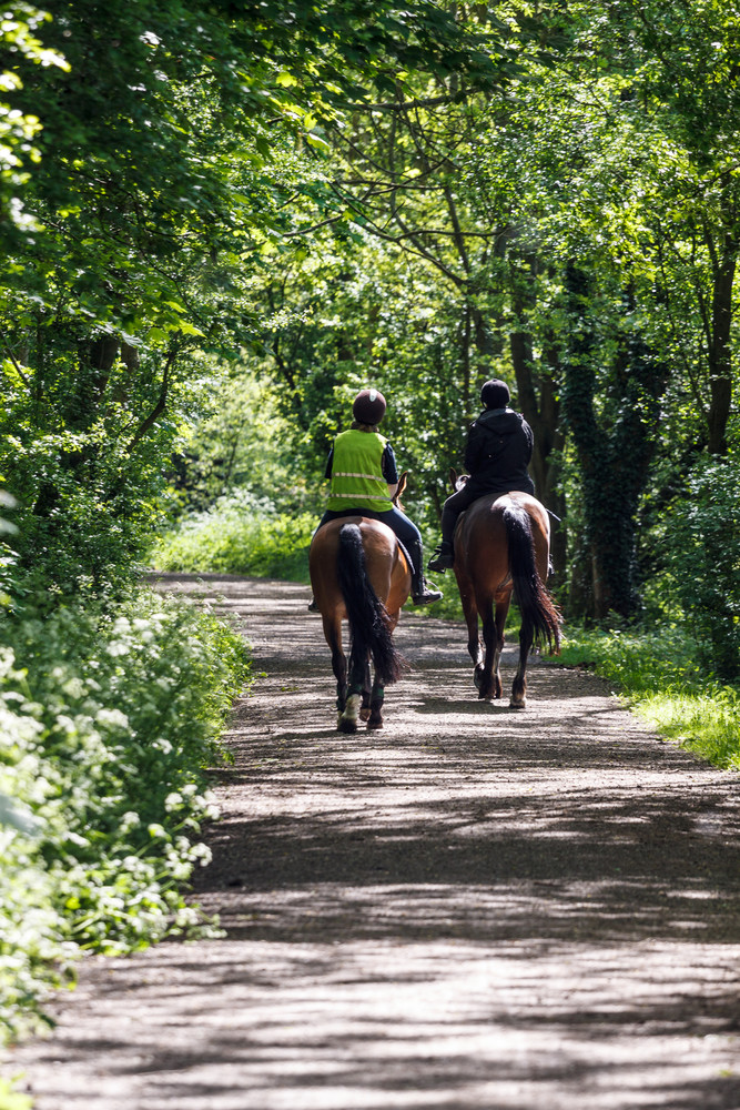 Horse riding on teversal walk