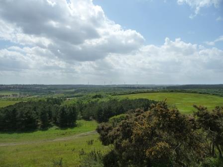 rainworth water