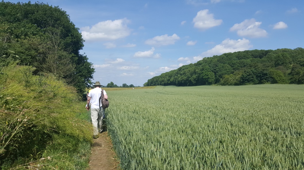 People walking along the side of a field on a sunny day