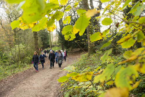 group walk in countryside