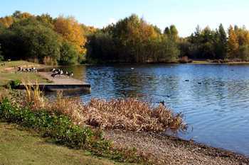 daneshill lakes nature reserve