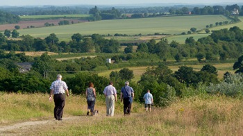 walkers in woodlands and coach wood green