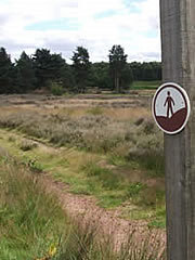 footpath in open access land