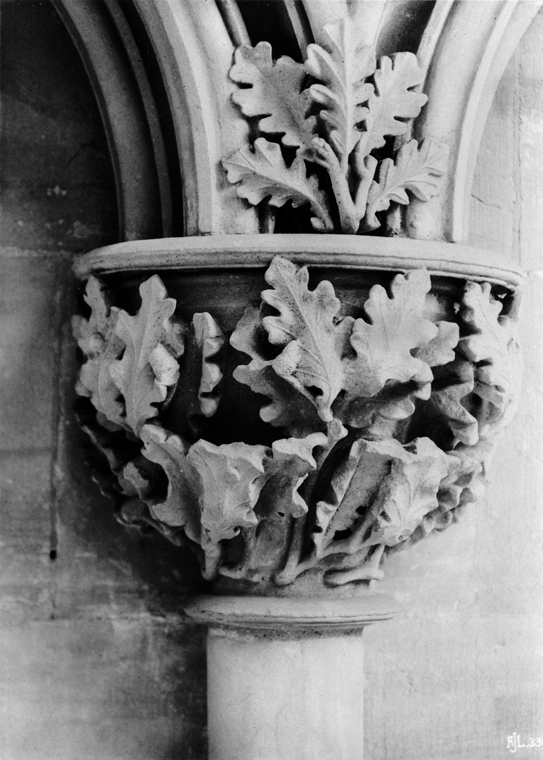 Carved oak leaves, Southwell