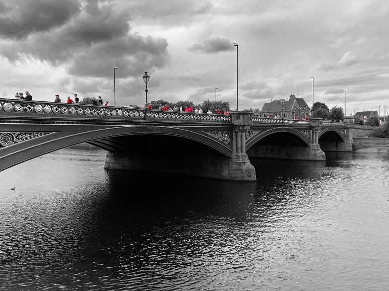 Forest fans on Trent Bridge