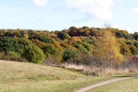 Bestwood Country Park
