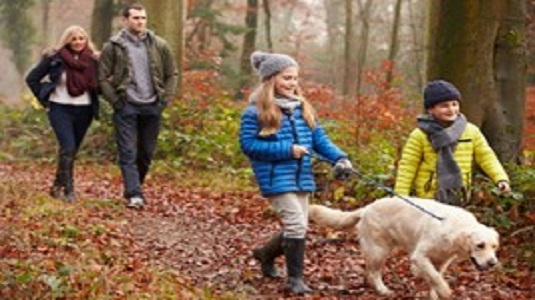 Man and woman with arms linked walking in a wood in autumn with two children walking a dog
