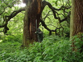 Robin Hood at Sherwood Forest