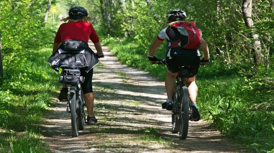 Two cyclists on a woodland path