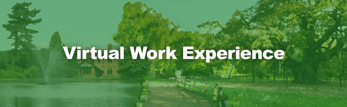 Virtual Work Experience