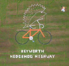 Keyworth Hedgehog Highway - 2022 winner.jpg