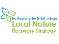 Nature recovery on your school grounds
