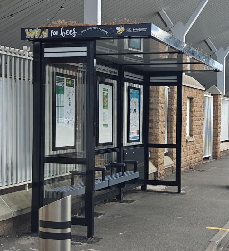 Bee friendly bus shelter next to the Trent Bridge cricket ground in West Bridgford.