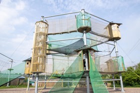 The net park at Adventures, which is made of wood and green net.