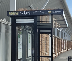 Bee friendly bus shelter in West Bridgford.