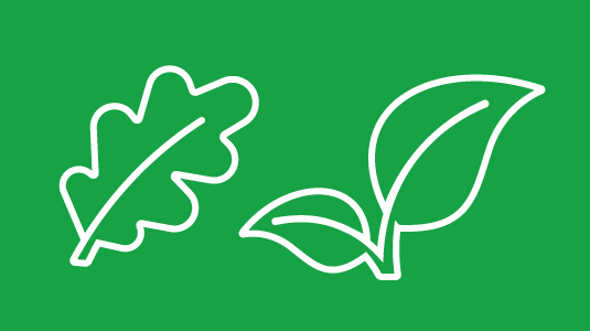 A leaf on a green background