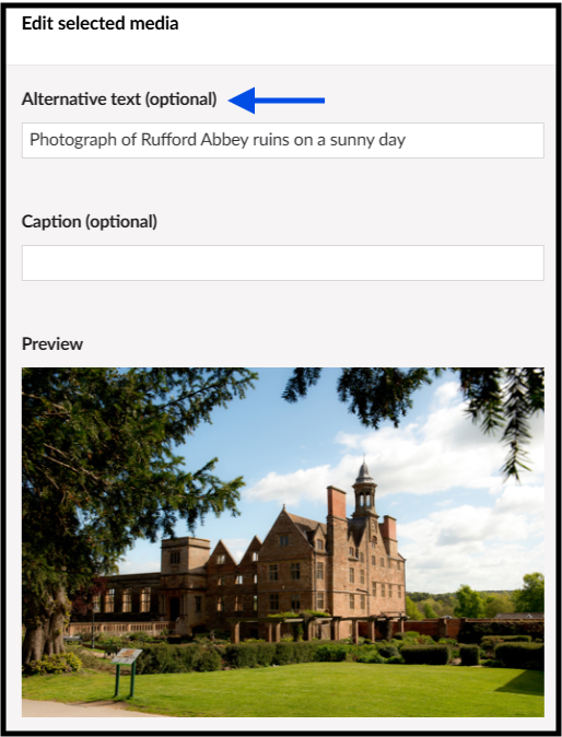 Screenshot: Website media editing window showing alternative text field.